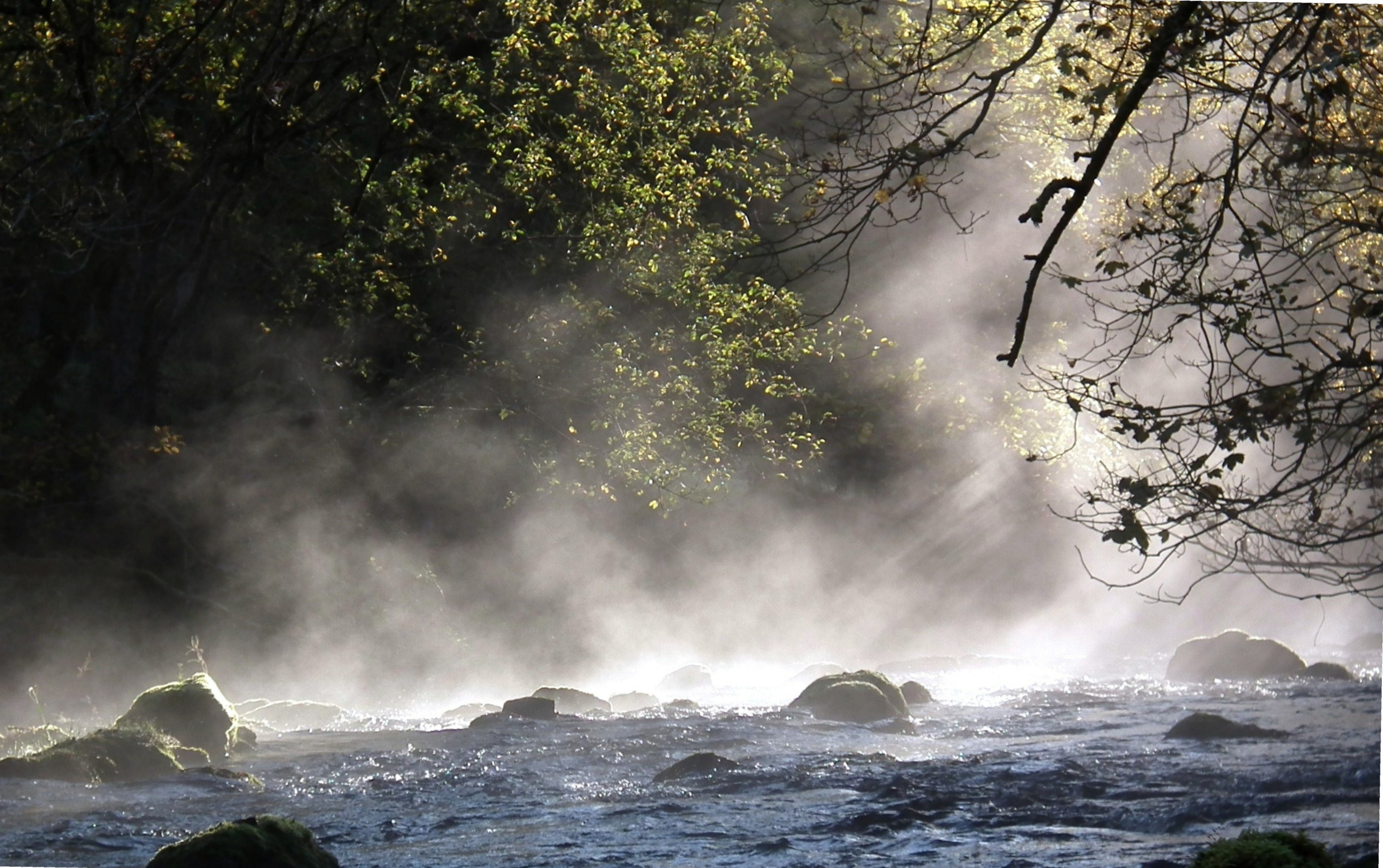 ANOTHER MISTY CLYWEDOG Bill Bagley Photography